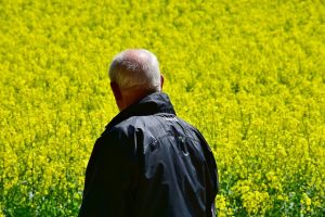 ea36b70c21f0023ecd0b470de7444e90fe76e7d71fb2124395f7c3_640_retirement