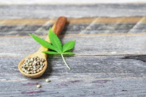 cannabis seeds and leaf