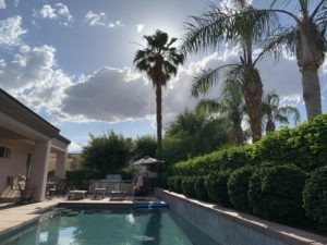 backyard-pool-with-palm-trees-2021-08-30-06-21-10-utc