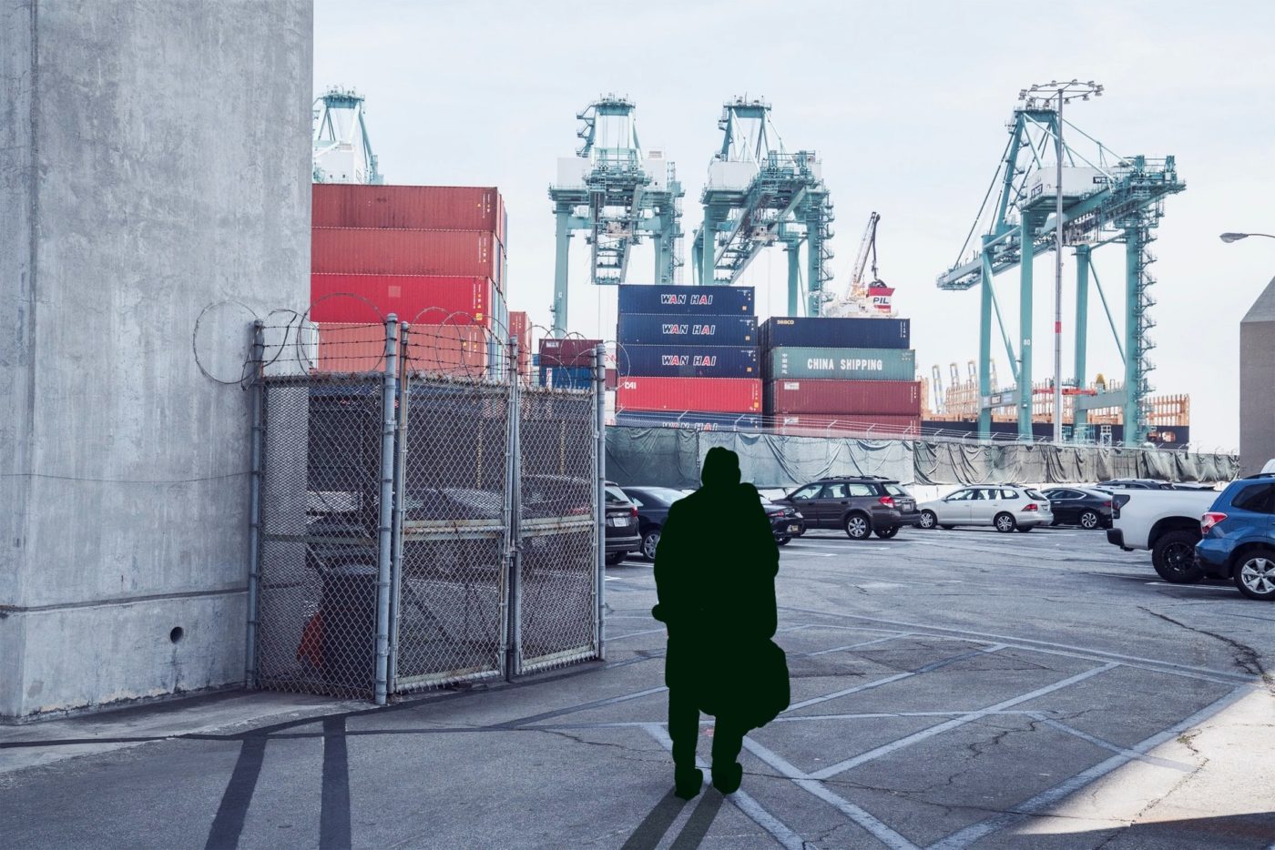 8 Popular Reasons Why People Use Car Shipping Carriers