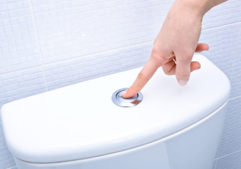 A Look at the Mechanics Involved in Flushing a Toilet