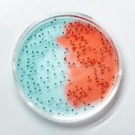 7 Common Misconceptions People Have on Genetic Mutations