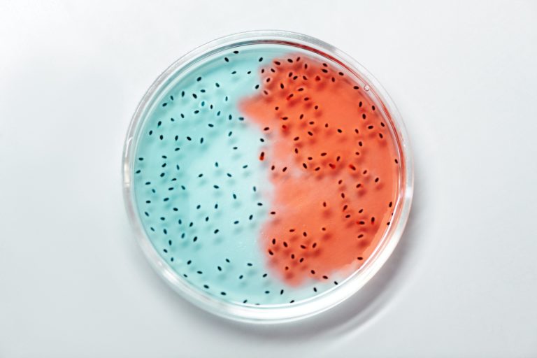 7 Common Misconceptions People Have on Genetic Mutations