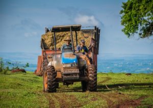 4 Important Reasons to Buy a Used Tractor Over a New Tractor