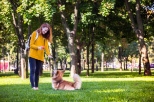 Should You Send Your Dog to Boot Camp?￼