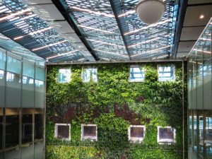 3 Benefits of Installing a Green Wall in an Outdoor Living Space