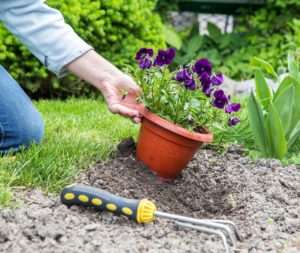 gardening-g7acd8e104_1280