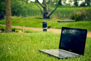 5 Ways Local Governments Can be More Green￼