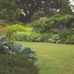 A Step-by-Step Guide for Getting Your Backyard Ready for Spring