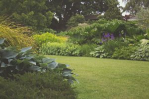 A Step-by-Step Guide for Getting Your Backyard Ready for Spring