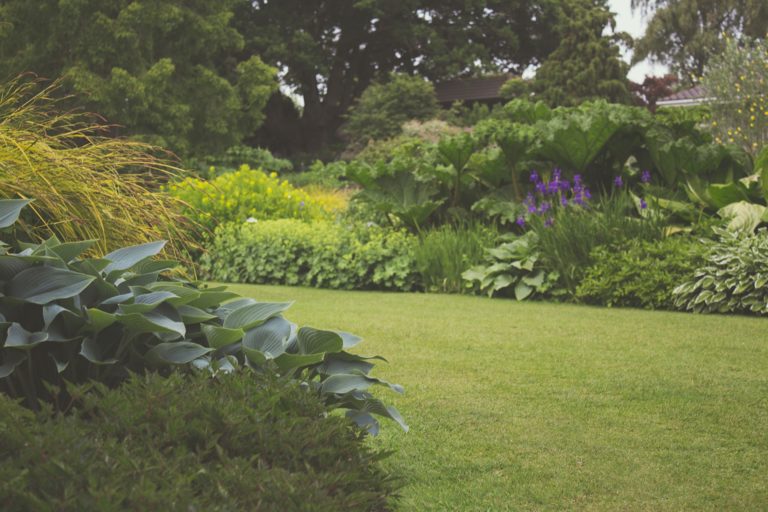 A Step-by-Step Guide for Getting Your Backyard Ready for Spring