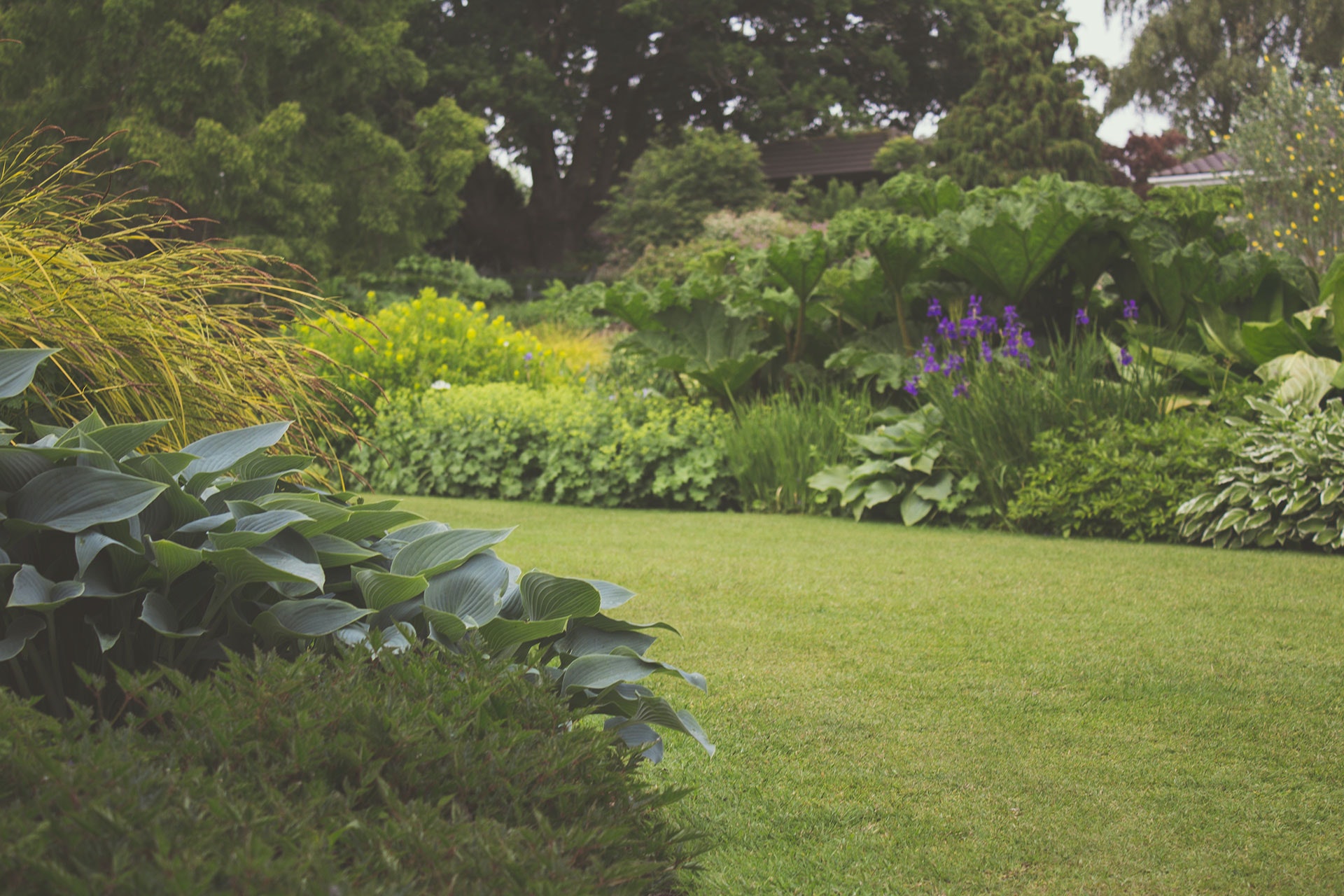 A Step-by-Step Guide for Getting Your Backyard Ready for Spring