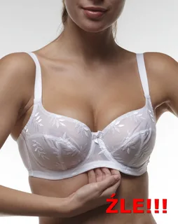 bra