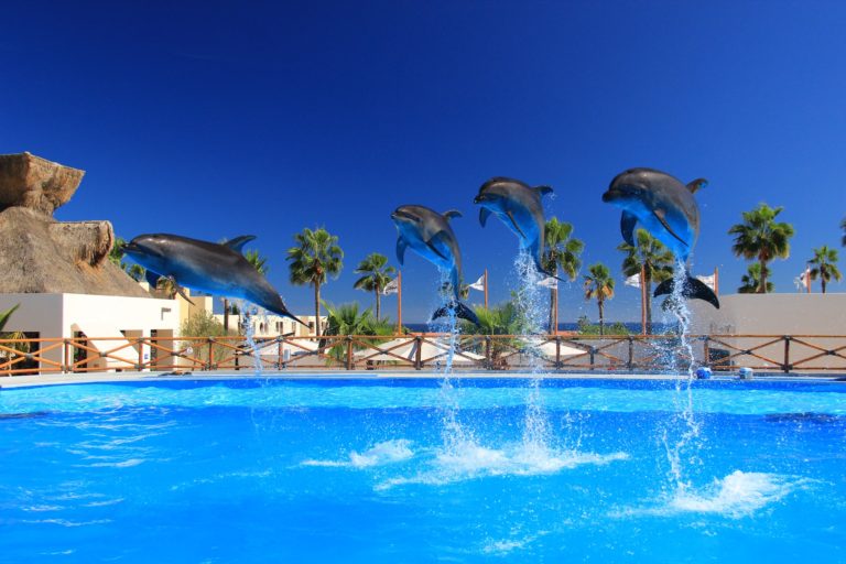 5 Reasons Why Pool Repairs Should Be Done by Professionals