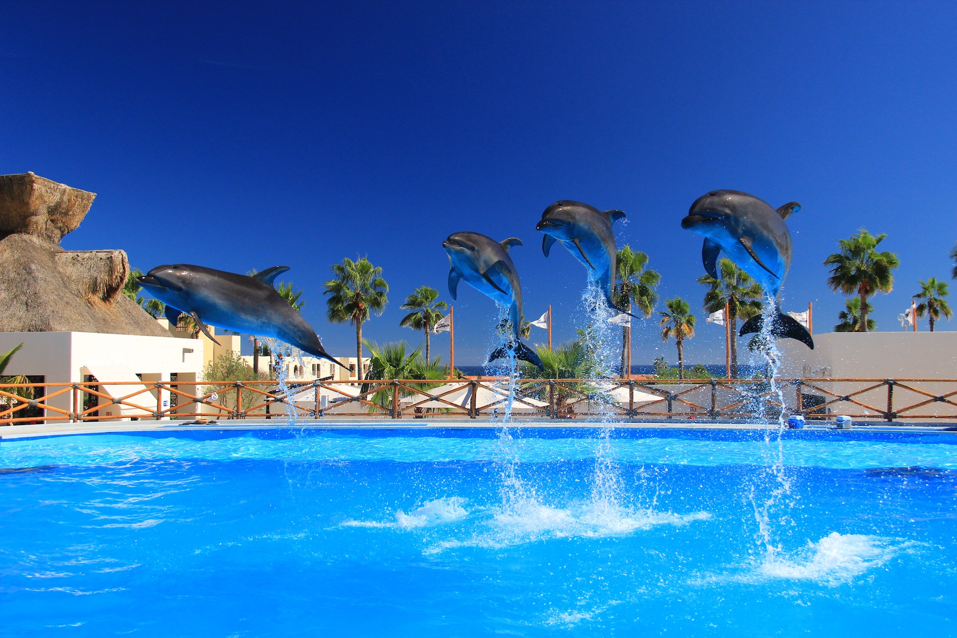 5 Reasons Why Pool Repairs Should Be Done by Professionals
