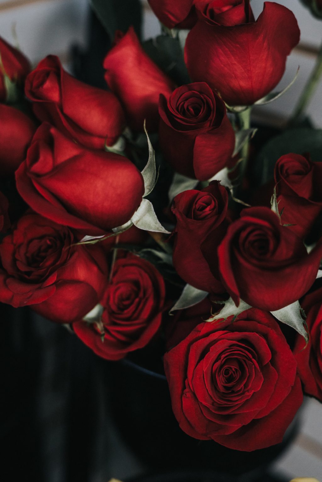 sidney-pearce-yPMJliKzyc4-unsplash