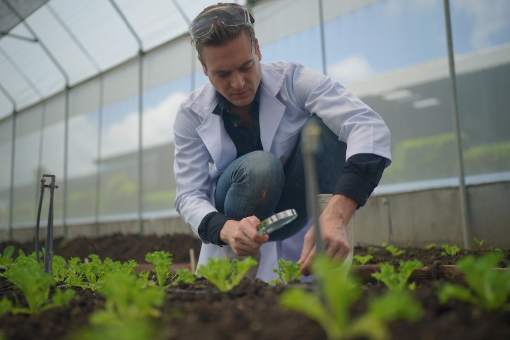 organic-farming-2022-11-14-09-04-22-utc