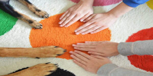 The Transformative Impact of Partnerships with Pets Animals