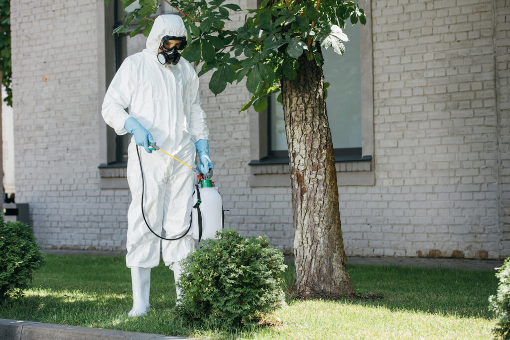 Your Guide to Elevating Your Pest Control Brand