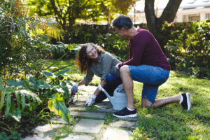 5 Landscaping Tips for a Novice