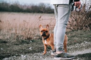 pexels-gustavo-h-328143-4057439