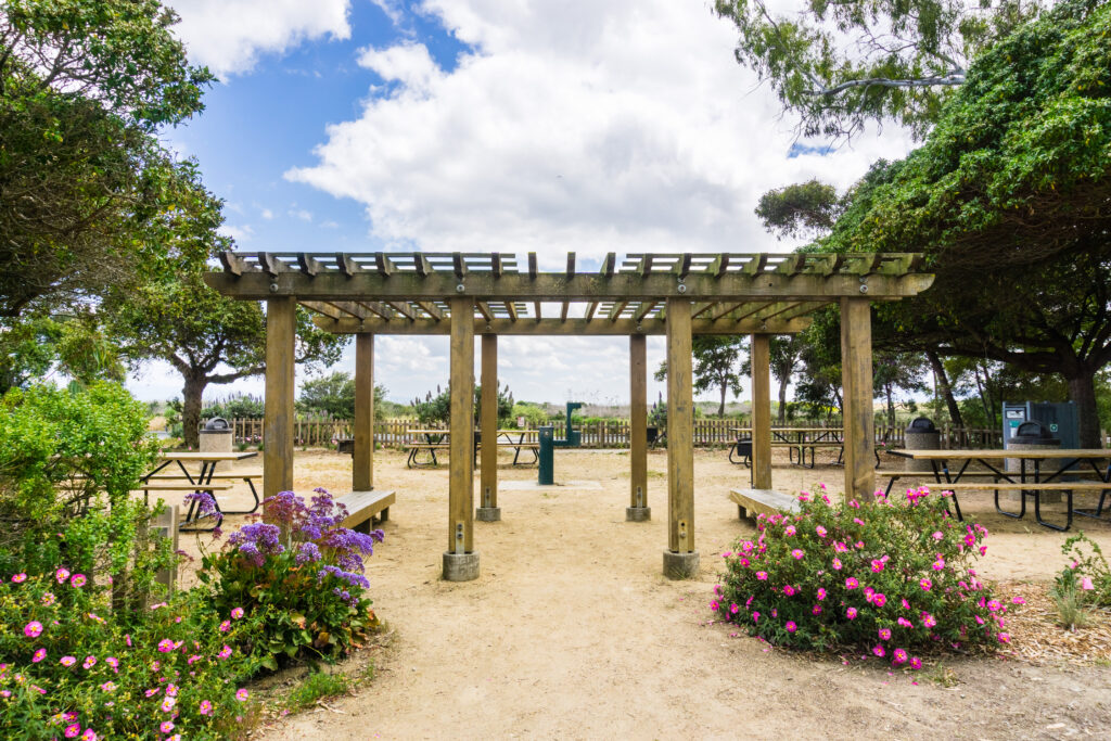 What are Your Options for an Extended Outdoor Area of the House?