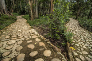 The Benefits of Paver Walkways: Durability, Style, and Easy Maintenance