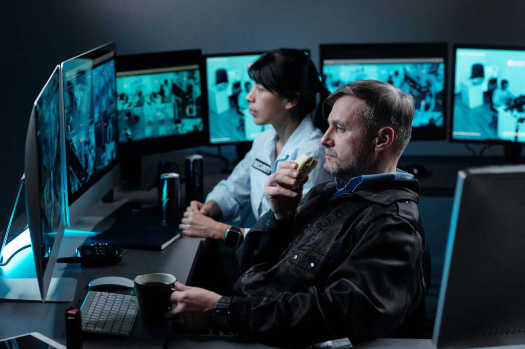 Navigating Network Security and Audits
