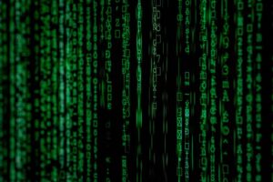 E-Commerce SEO Adapting to Algorithm Updates with Backspace Marketing