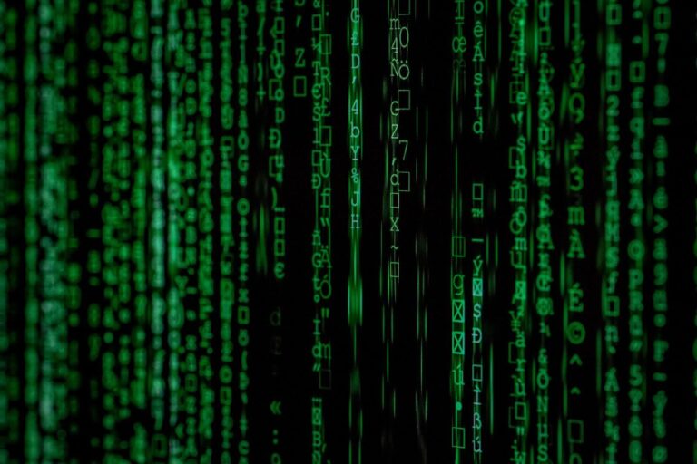 E-Commerce SEO Adapting to Algorithm Updates with Backspace Marketing