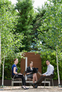 From Commute to Commute-Free: Designing the Perfect Backyard Workspace